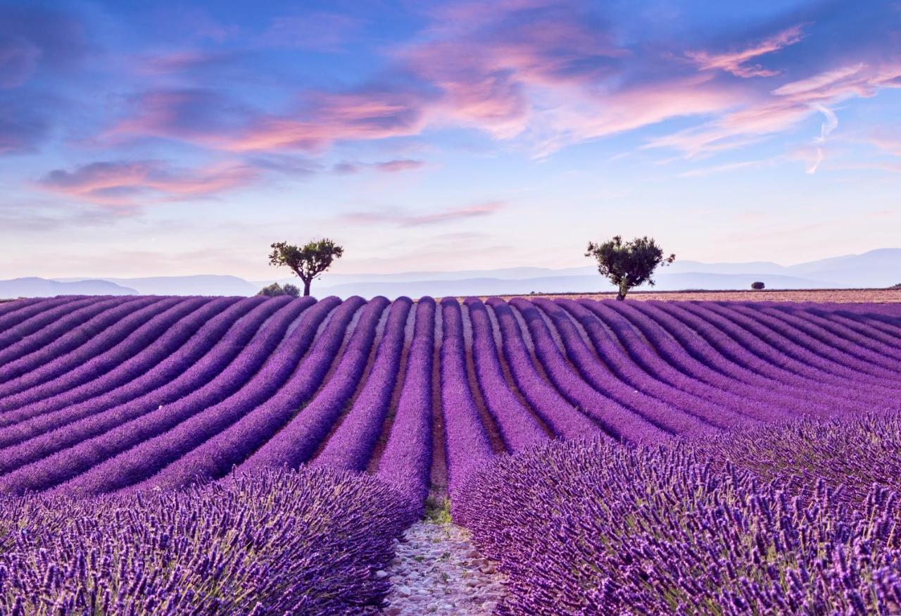 La Maison Des Collines Allemagne en Provence Bagian luar foto