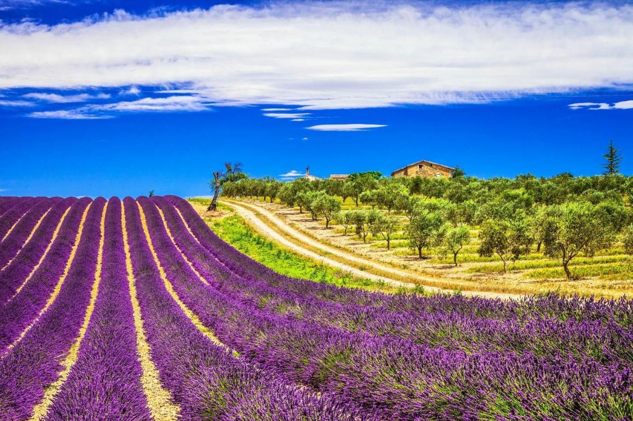 La Maison Des Collines Allemagne en Provence Bagian luar foto