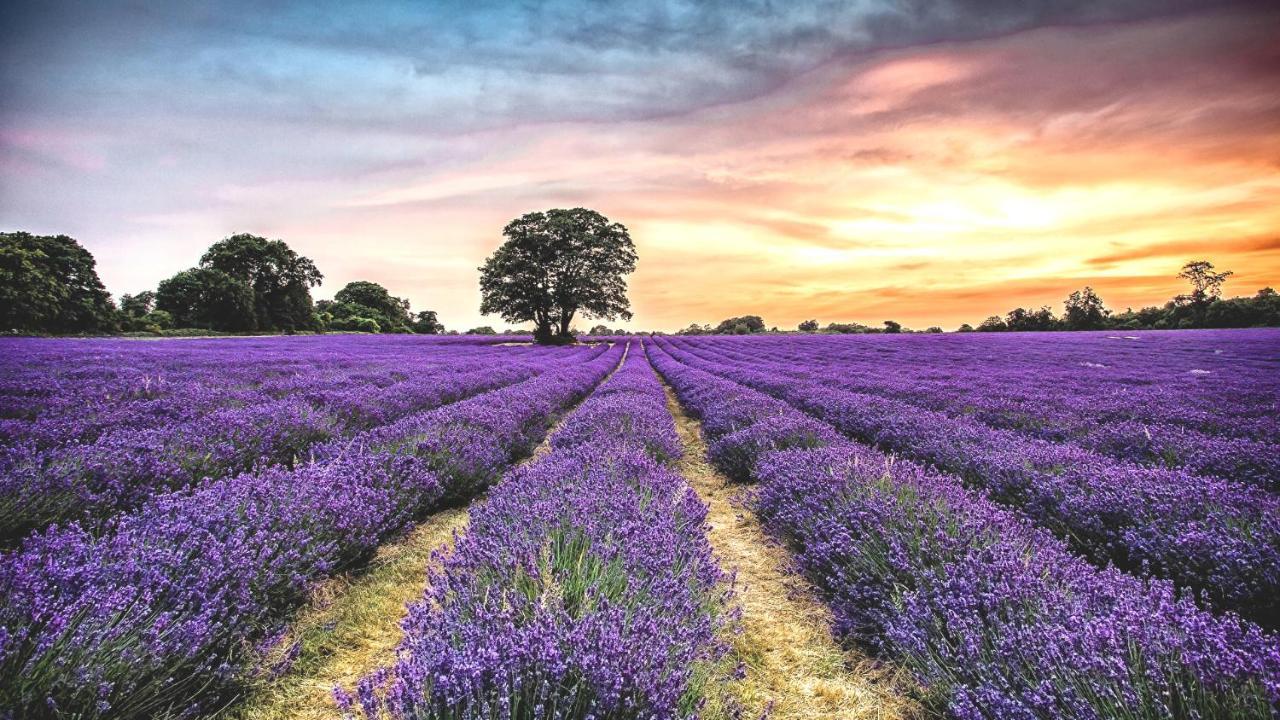 La Maison Des Collines Allemagne en Provence Bagian luar foto