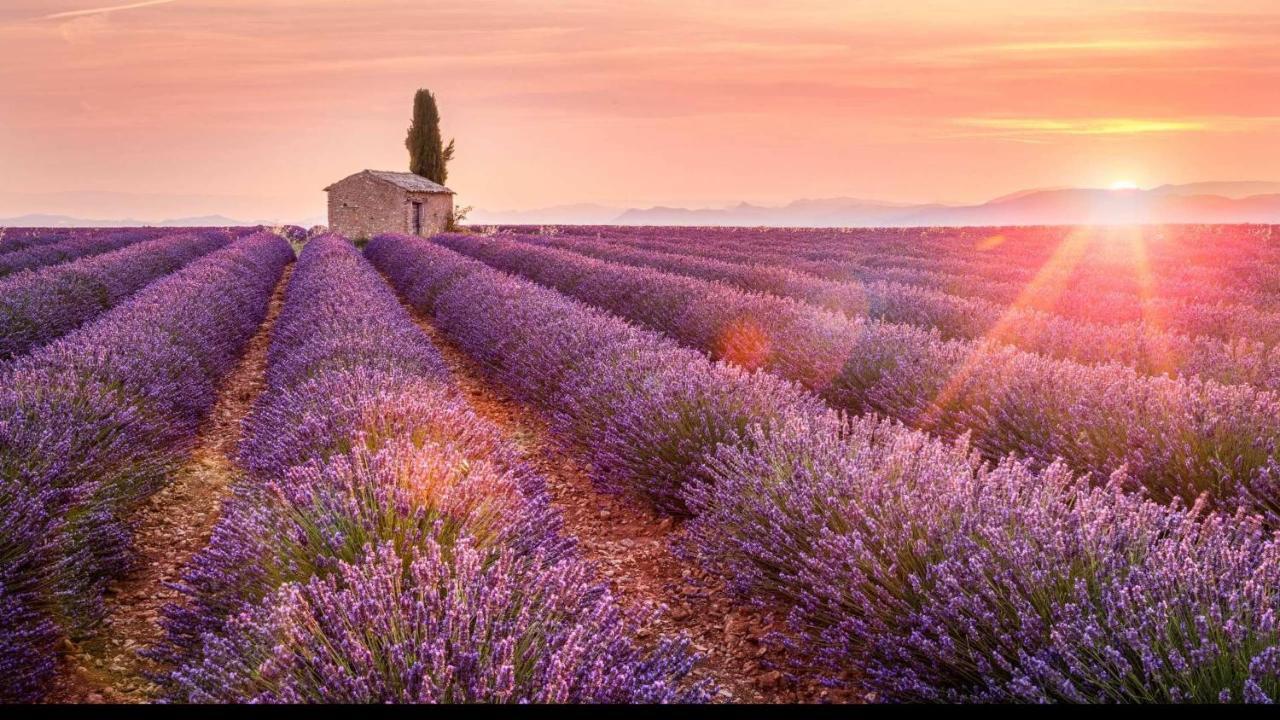 La Maison Des Collines Allemagne en Provence Bagian luar foto
